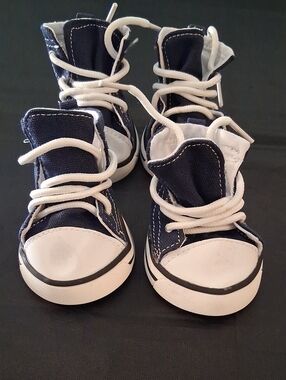 Dog's Navy Canvas High-Top Sneakers with White Laces